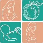 Logo Nutrindo Ciclos de Vida